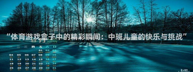 红蓝体育是什么平台：“体育游戏盒子中的精彩瞬间：中班儿童的快乐与挑战”