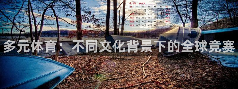 红蓝体育怎么样：多元体育：不同文化背景下的全球竞赛