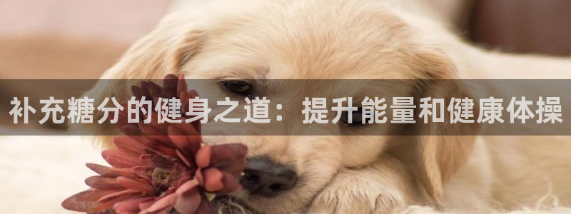 红蓝体育登录地址：补充糖分的健身之道：提升能量和健康体操