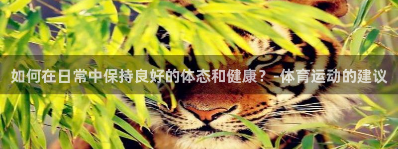 红蓝体育登录地址：如何在日常中保持良好的体态和健康？-体育运动的建议